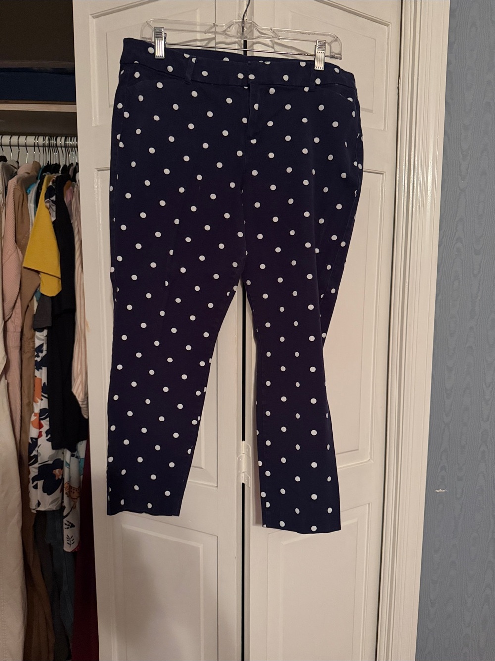 Polka Dot Navy Pants